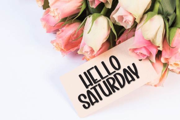 Bookmark Font - Preview 4