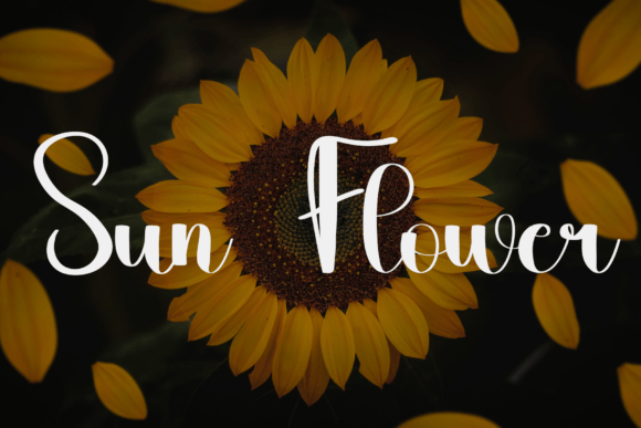 Books Font - Preview 5