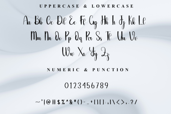 Books Font - Preview 6