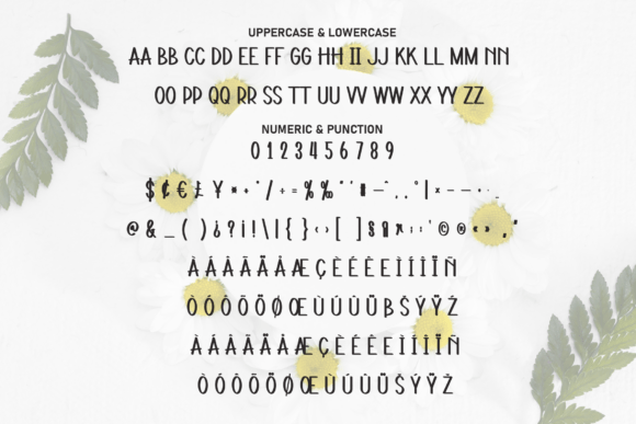 Daisy Creative Font - Preview 6