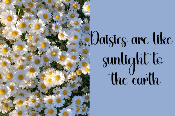 Daisy Font - Preview 3