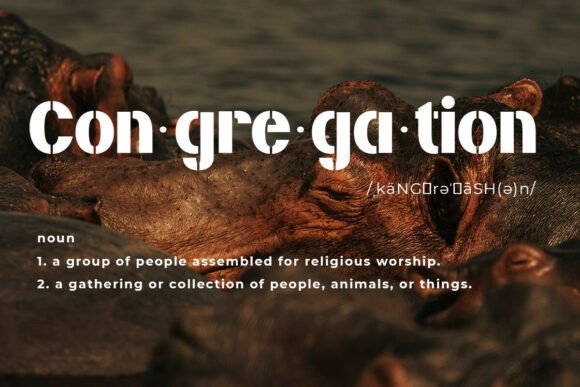 Gravion Falco Font - Preview 2
