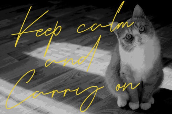 Katios Catty Font PNG with transparent background - Preview 5