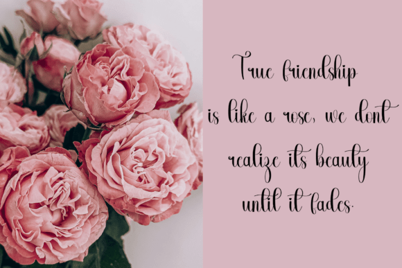 Pink Roses Font PNG with transparent background - Preview 1