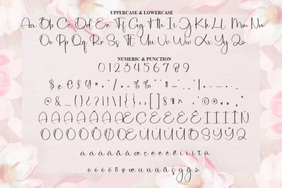 Beautiful Font - Preview 6