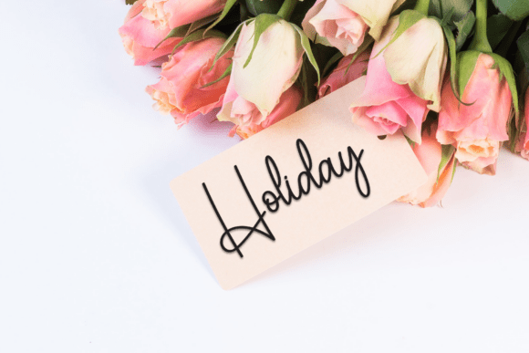 Butterfly Calligraph Font - Preview 4