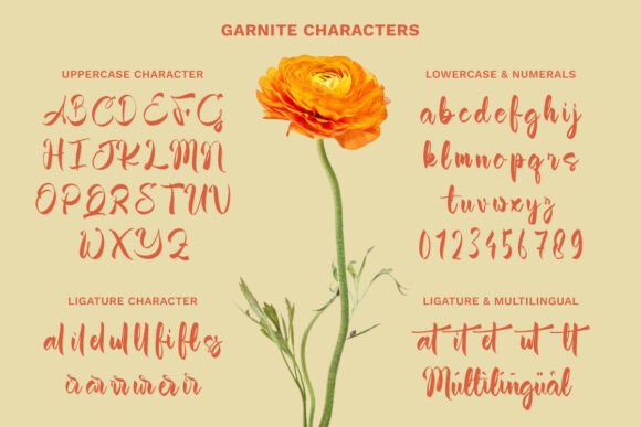 Garnite Font - Preview 6