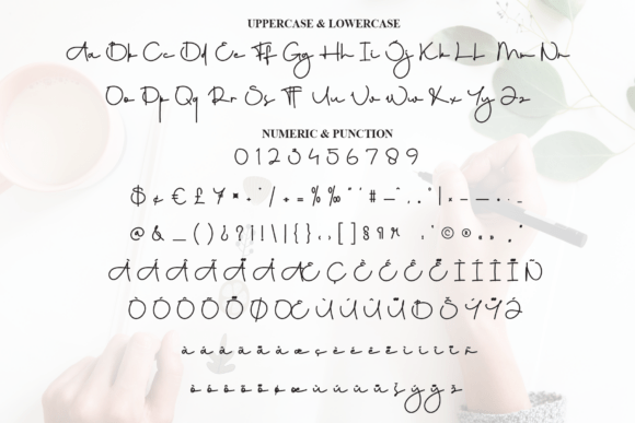 Amelia Signature Font - Preview 6