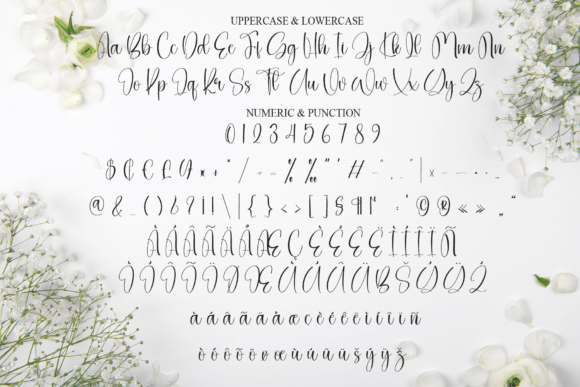 Continuously Font - Preview 6