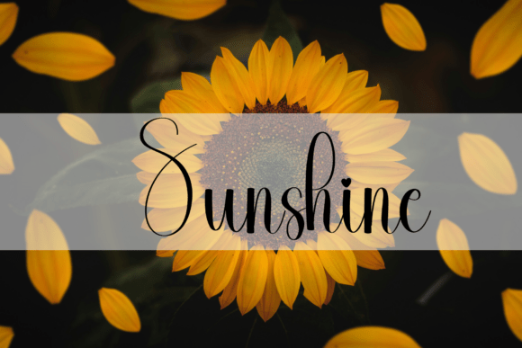 Background Signature Font - Preview 1