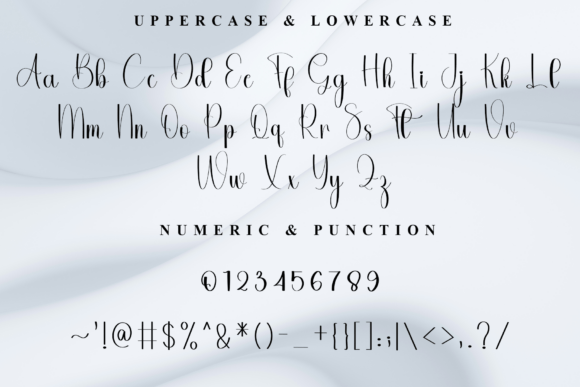 Background Signature Font - Preview 6