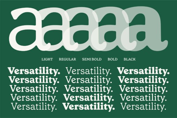 Baileyhouse Font PNG with transparent background - Preview 1