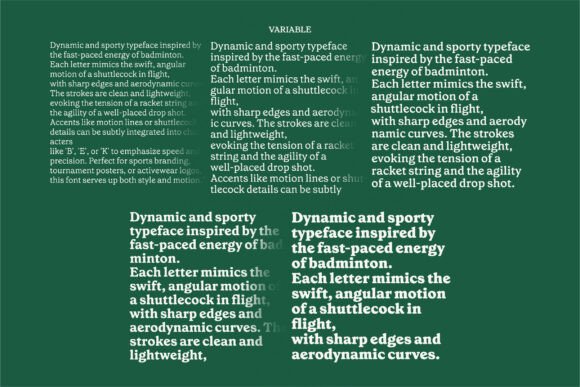 Baileyhouse Font PNG with transparent background - Preview 2