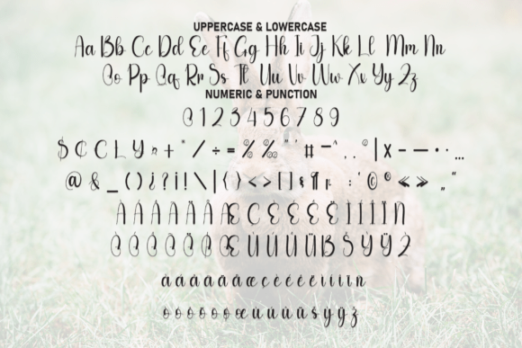 Bunny Font - Preview 6
