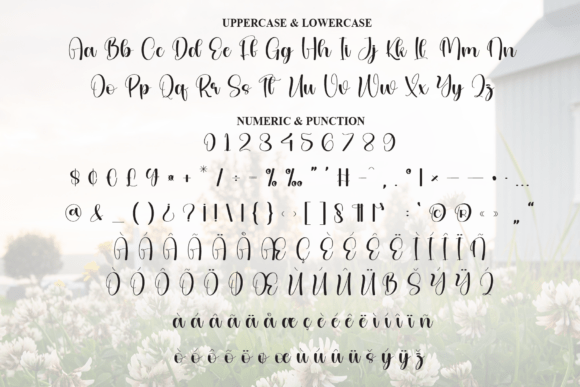 Daisy Farmhouse Font - Preview 6