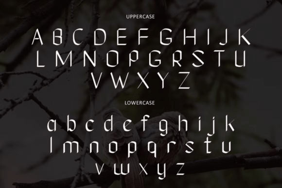 Scoot Gilligan Font PNG with transparent background - Preview 4