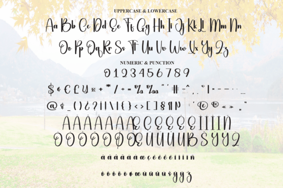 Season Beautifull Font PNG with transparent background - Preview 6