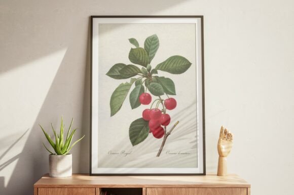 Vintage Cherry Botanical Wall Art
