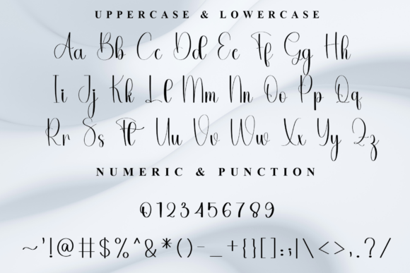 Biografi Font - Preview 6