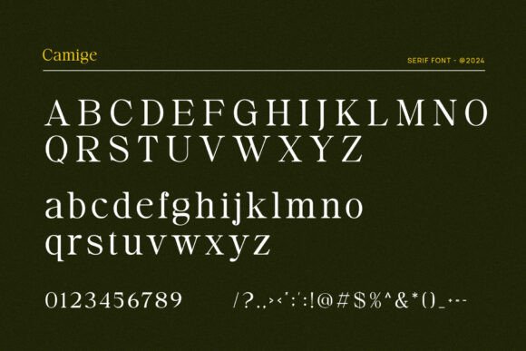 Camige Font - Preview 3