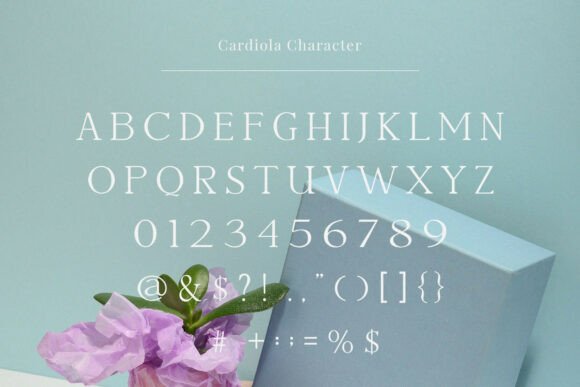 Cardiola Font - Preview 3