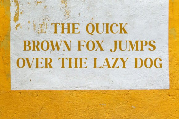 Casley Font - Preview 1