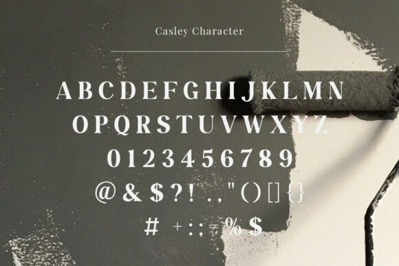 Casley Font - Preview 3