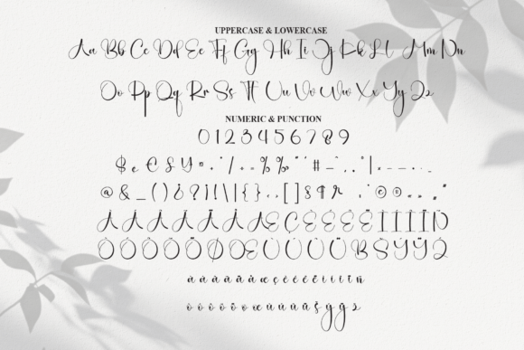 Catalina Font - Preview 6