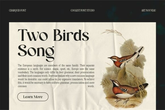 Charquid Font - Preview 6