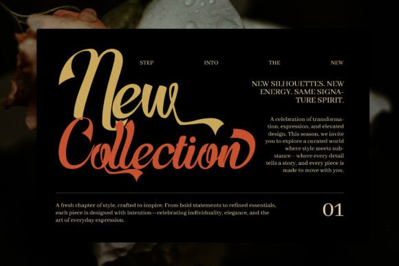 Dafensa Melisa Font - Preview 4
