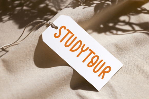 School Journal Font PNG with transparent background - Preview 4