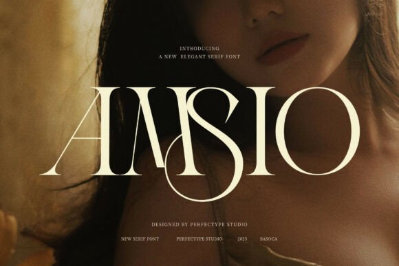 Amsio Elegant Serif Fonts