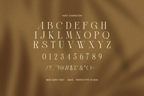 Amsio Elegant Serif Font - Preview 6