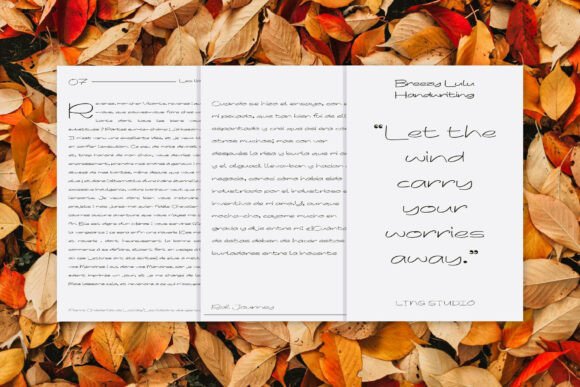 Breezy Lulu Font - Preview 3