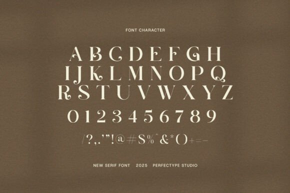 Carina Font - Preview 6
