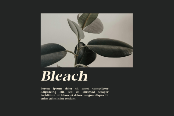 Chafira Font - Preview 3