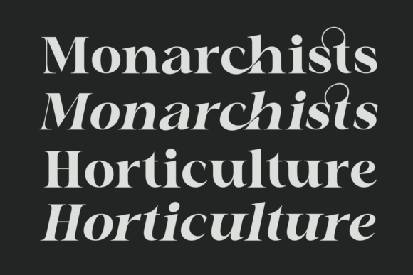 Chafira Font - Preview 6