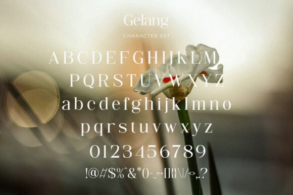Gelang Font PNG with transparent background - Preview 3