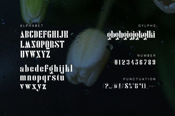Gilkist Font PNG with transparent background - Preview 1