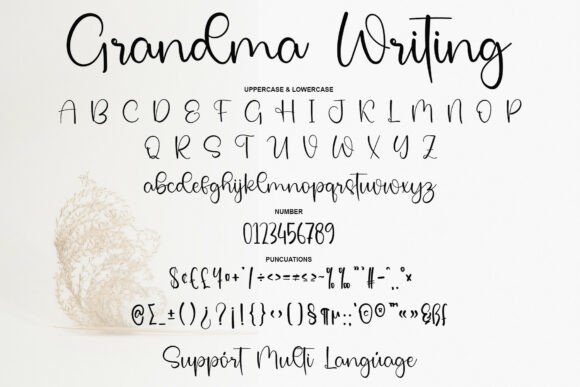Grandma Writing Font PNG with transparent background - Preview 5