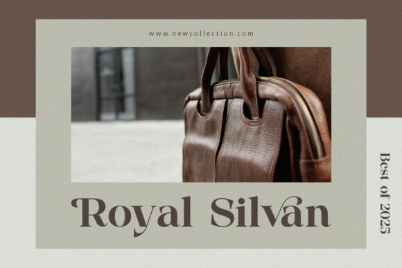 Silneva Font PNG with transparent background - Preview 2