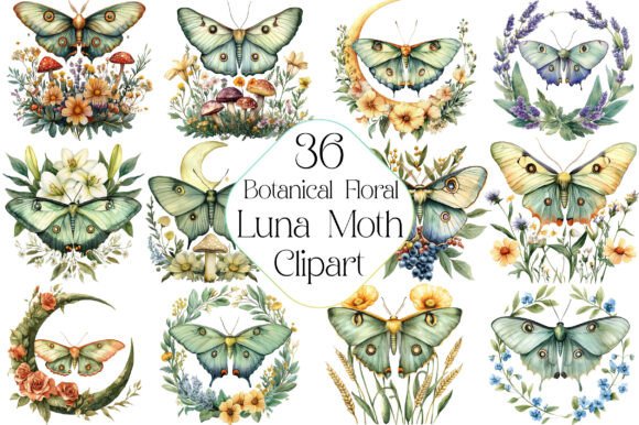 Watercolor Botanical Floral Luna Moth Gráfico Ilustraciones Imprimibles Por Dream Print