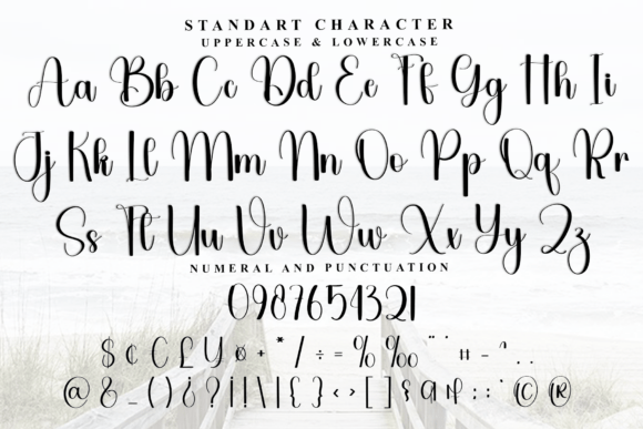 Beauty Beast Font - Preview 4