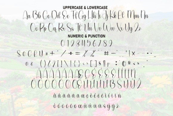 Garden Font - Preview 6