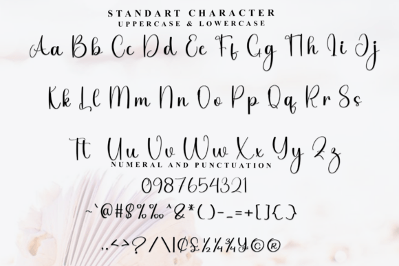 Handsome Font - Preview 4