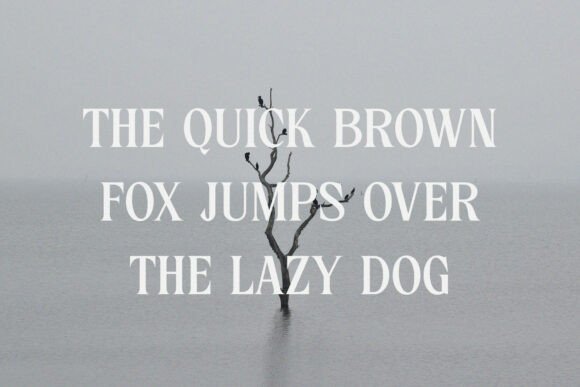 Nelington Font font preview - 2