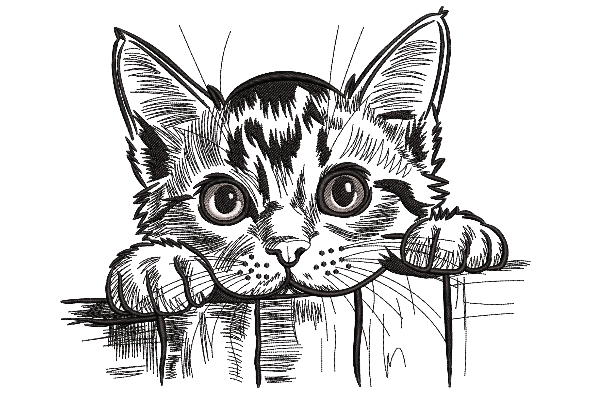 Peeking Cat