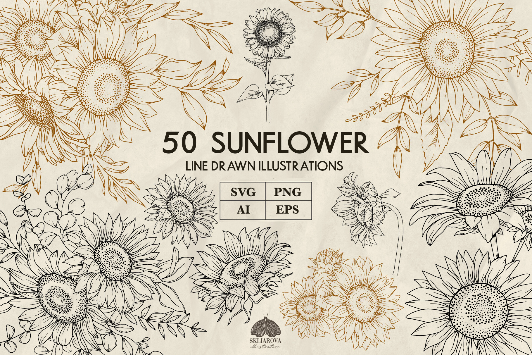 Sunflower Line Art Svg Bundle Png Eps