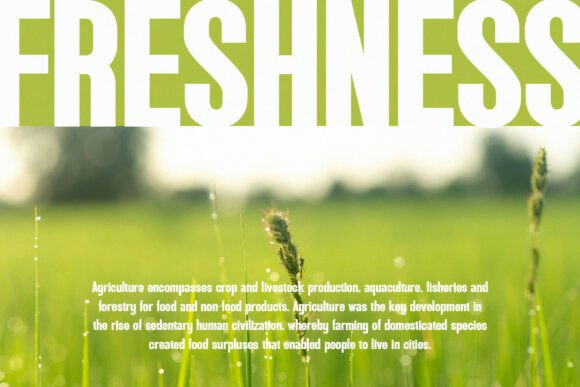 Ataria Font - Preview 3