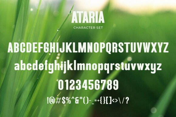 Ataria Font - Preview 4